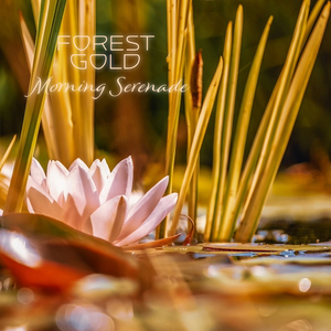 chinese倾辛和廖承宇
