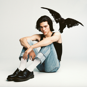 老司机成人在线观看
