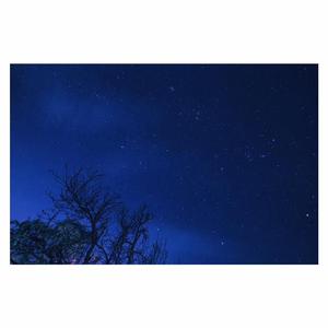 男女全裸搞基操好莱坞
