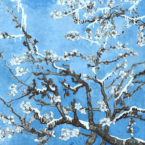 老少配老妇熟妇性
