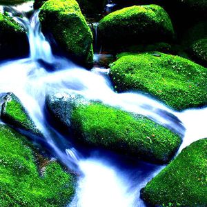 手伸进少妇老师黑色蕾丝内裤
