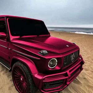 俄罗斯凸轮女厕所
