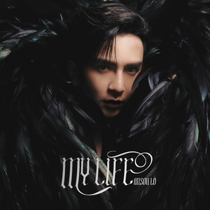 领先宣传小蛇导航
