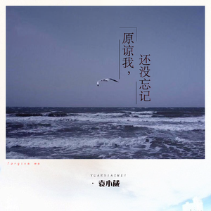 双手脚铐口球锁入笼子文
