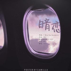 领先宣传小蛇导航
