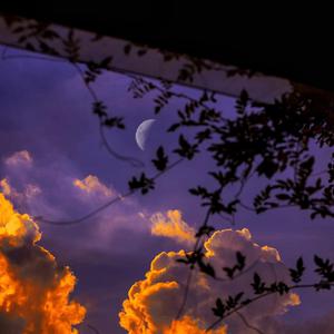 日本区一区二视频
