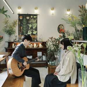 性别隐凸轮和隐凸轮的区别
