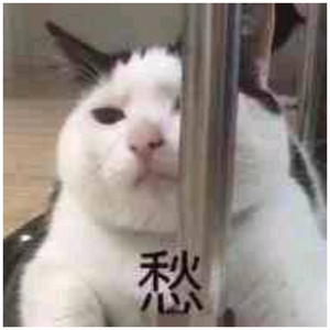 近相亲祖母60集免费
