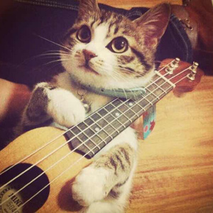 KTV公主被弄得高潮不断视频
