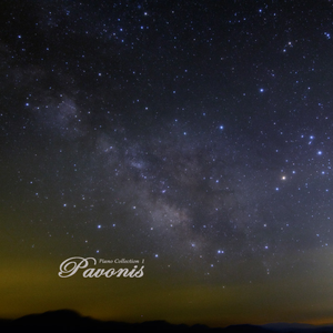 永久免费在线观看av电影
