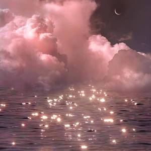 俄罗斯凸轮女厕所
