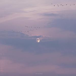 白丝校花污h自慰
