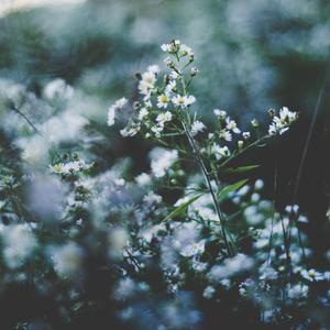 公翁⋯好舒服⋯好紧漫画
