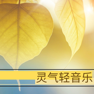 俄罗斯凸轮女厕所
