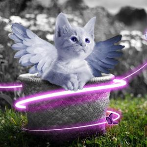 寡妇做爰过程口述
