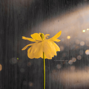 free❌❌❌日本videos
